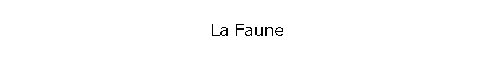 La Faune