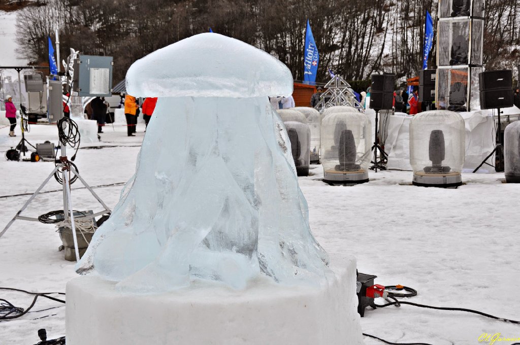 1501251_Meduse.JPG - Mduse - Sculpture sur Glace - Valloire 2015