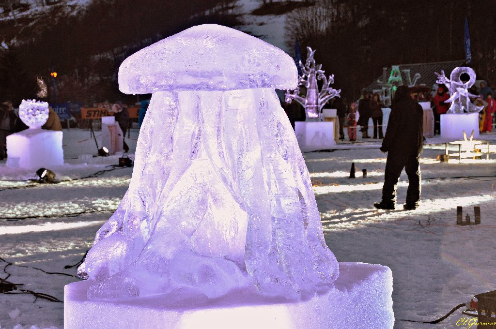 1501295_Meduse.JPG - Mduse - Sculpture sur Glace - Valloire 2015