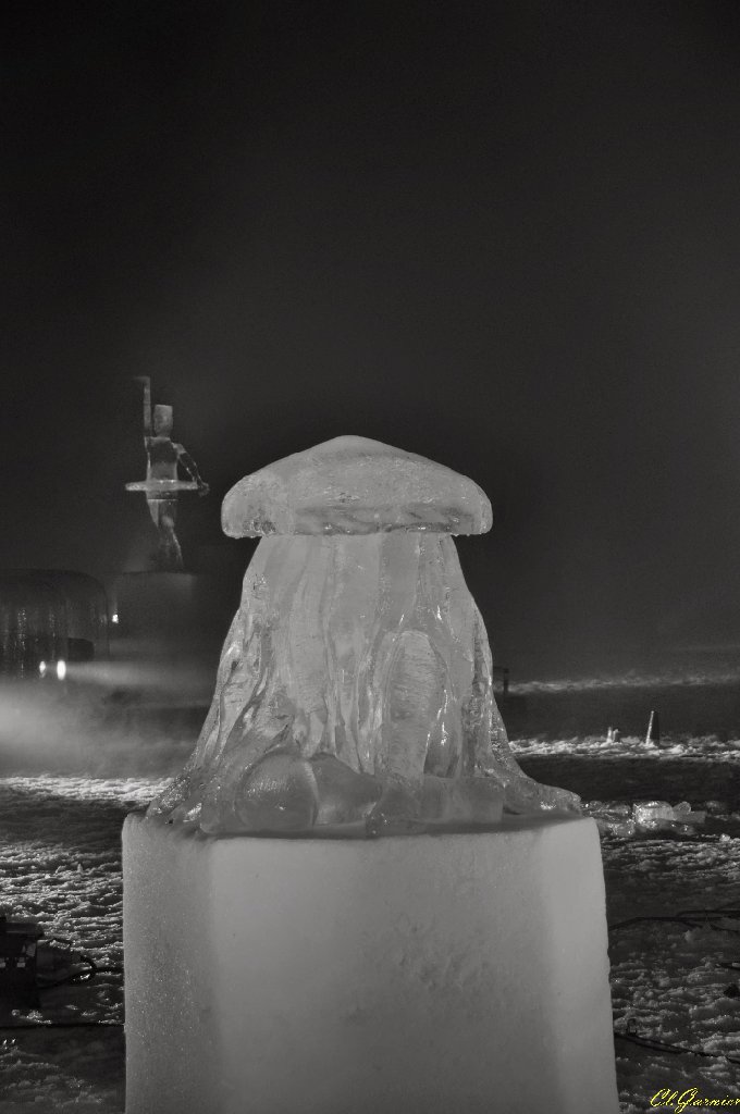 1501303_Meduse.JPG - Mduse - Sculpture sur Glace - Valloire 2015