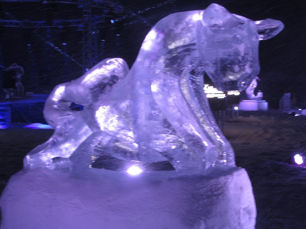 Frozen-Bull-de-Maxime-Van-Besien.JPG