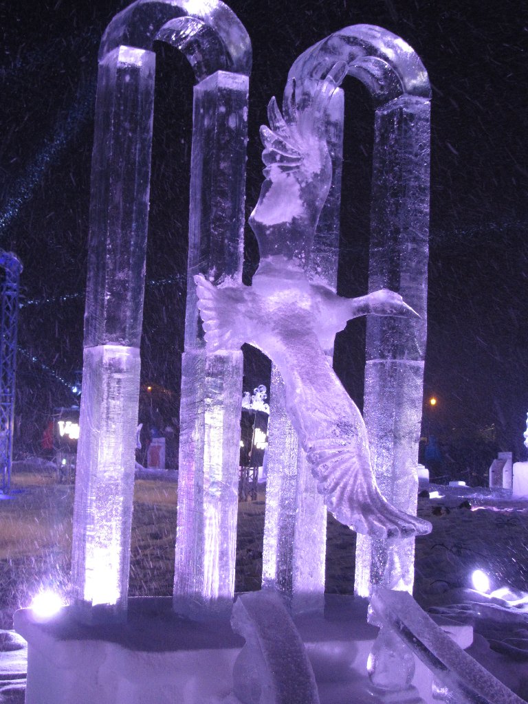 L-hotel-de-l-oiseau-lyre-de-Sebastien-Dieu.JPG