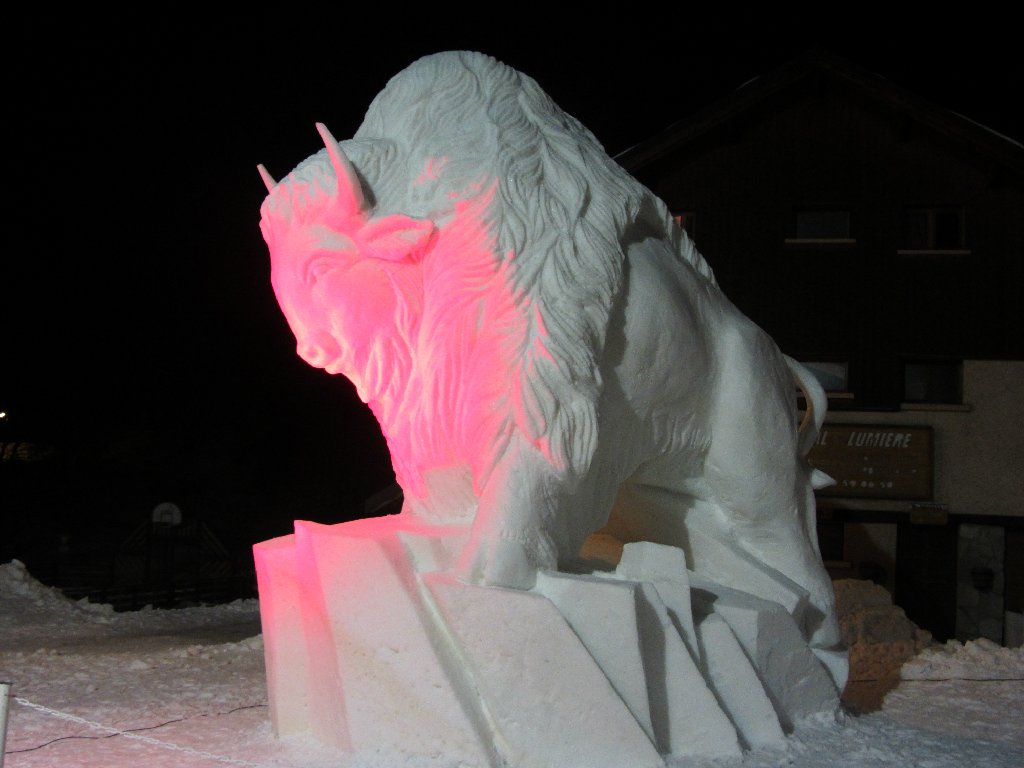 Le bison blanc-Canada-Prix du Public-Prix du jeune public-2e prix international du Jury.JPG