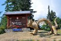 1207648 2e Prix - Dragon du Galibier - France