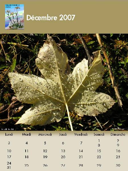 Decembre-2007 
