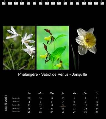 juillet-2011.jpg