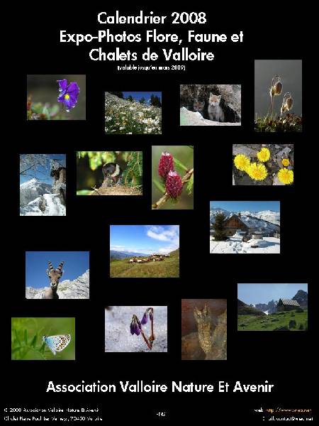 cover-2008 