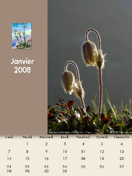 janvier-2008 