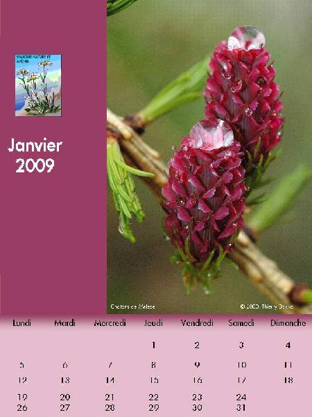 janvier-2009 