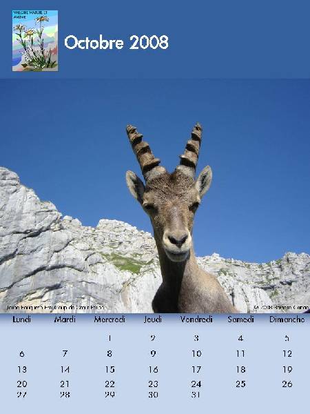 octobre-2008 