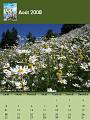 calendrier-2008