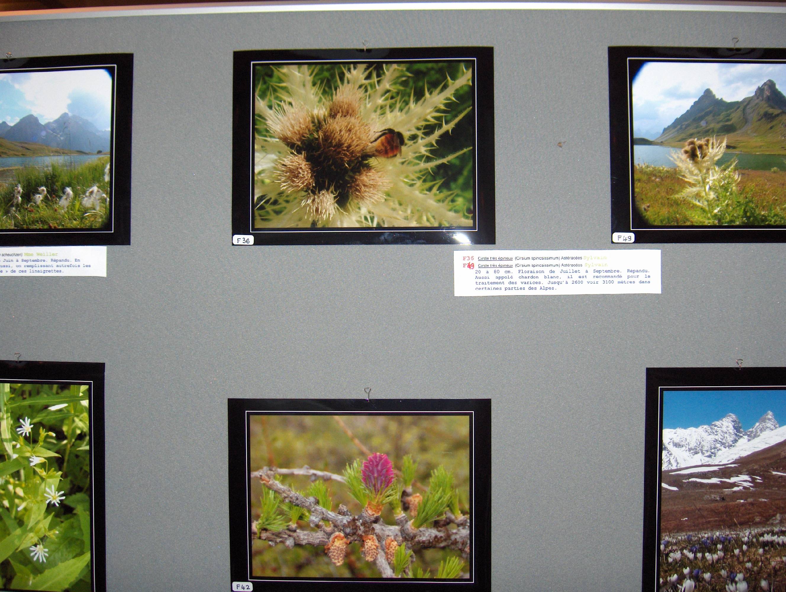 exposition photo VNEA Valloire A.jpg