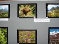 exposition photo VNEA Valloire A