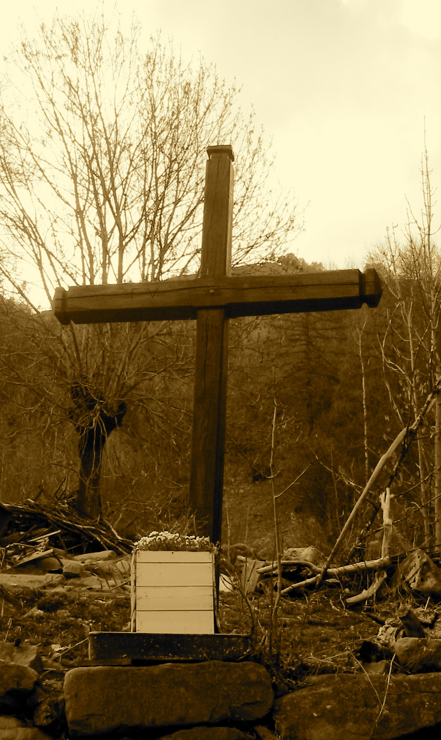 C06 la croix des villards de dominique stiker.jpg