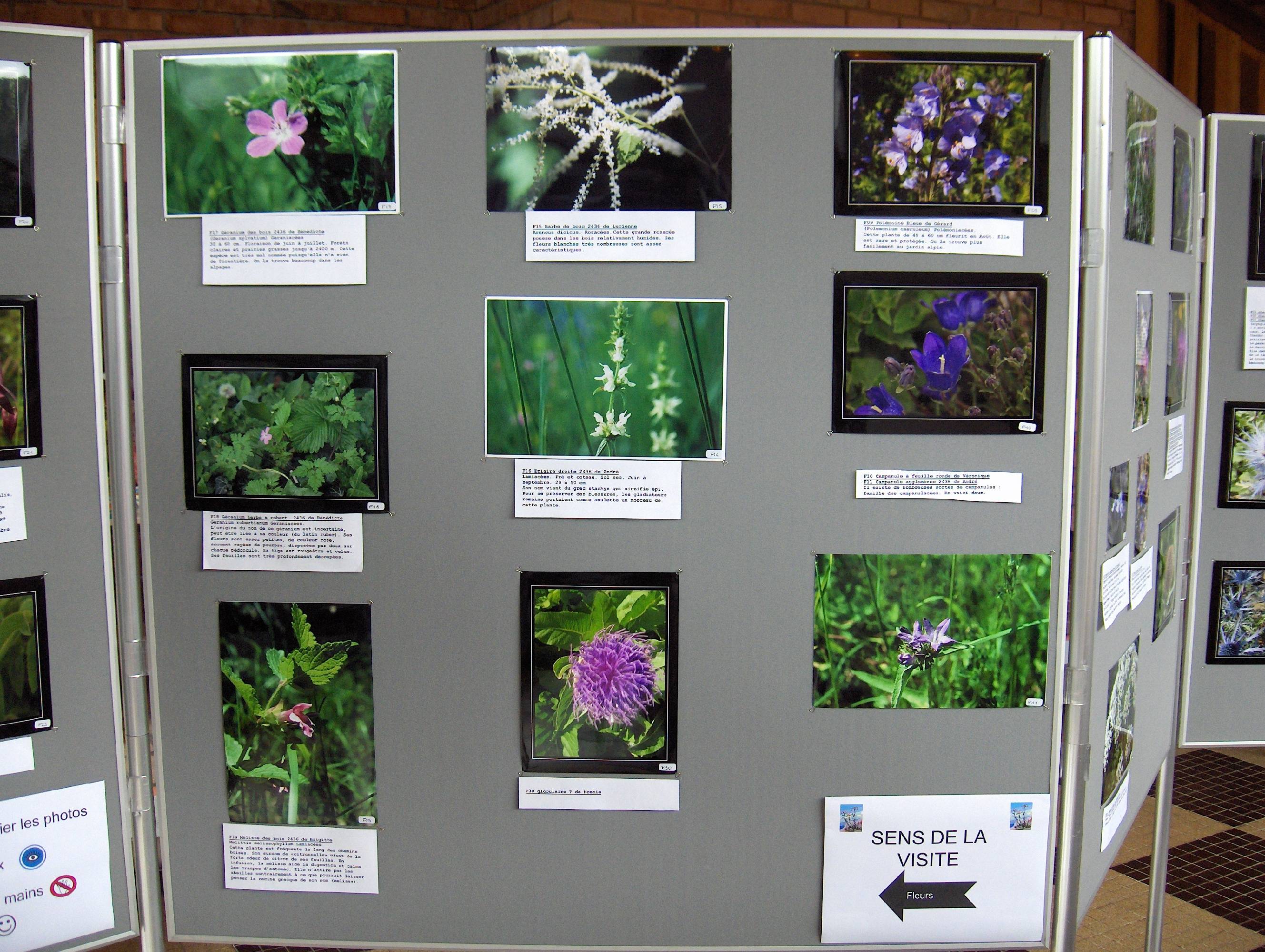 expo photo 2006 4.jpg
