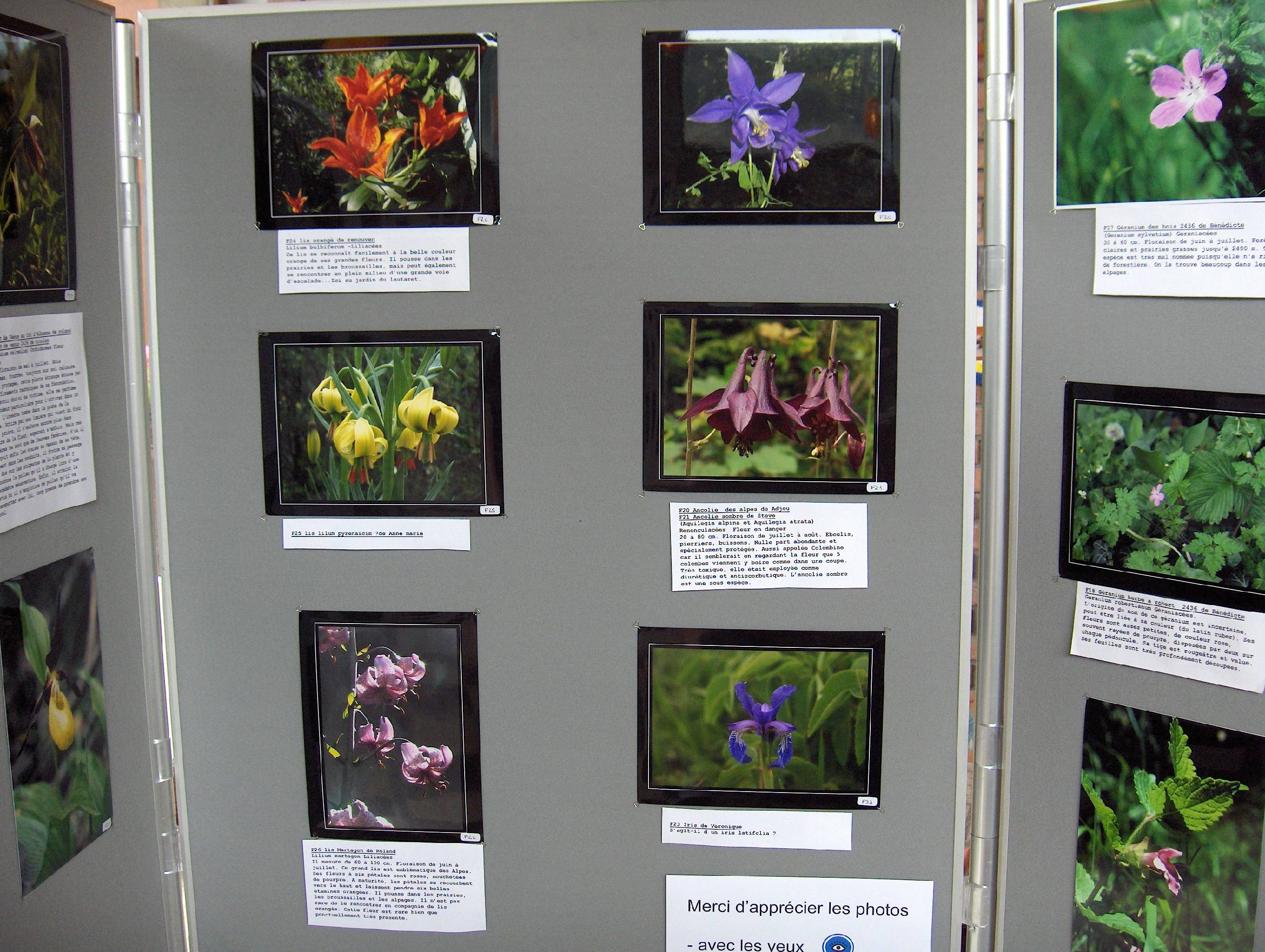 expo photo 2006 5.jpg