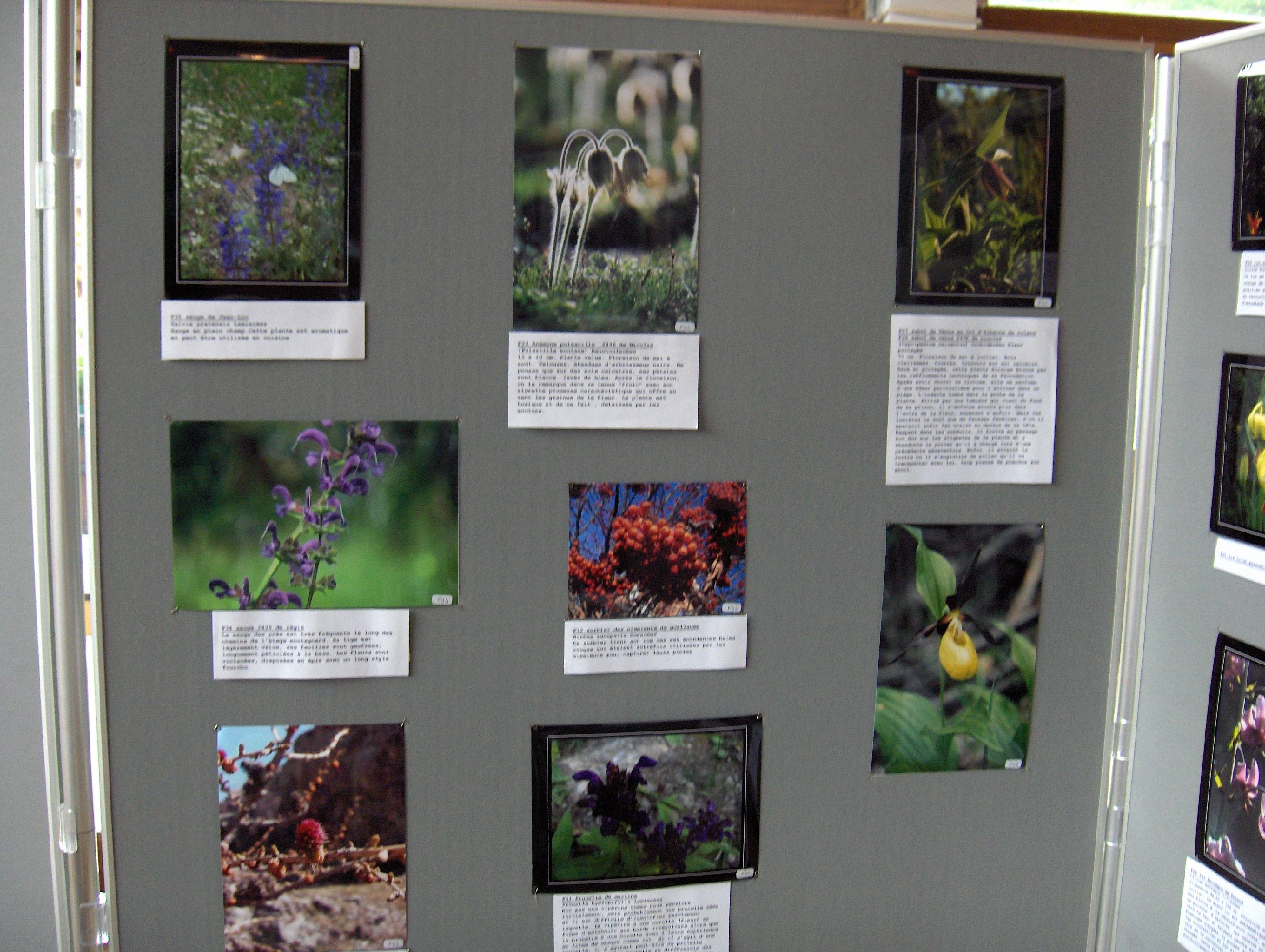 expo photo 2006 6.jpg
