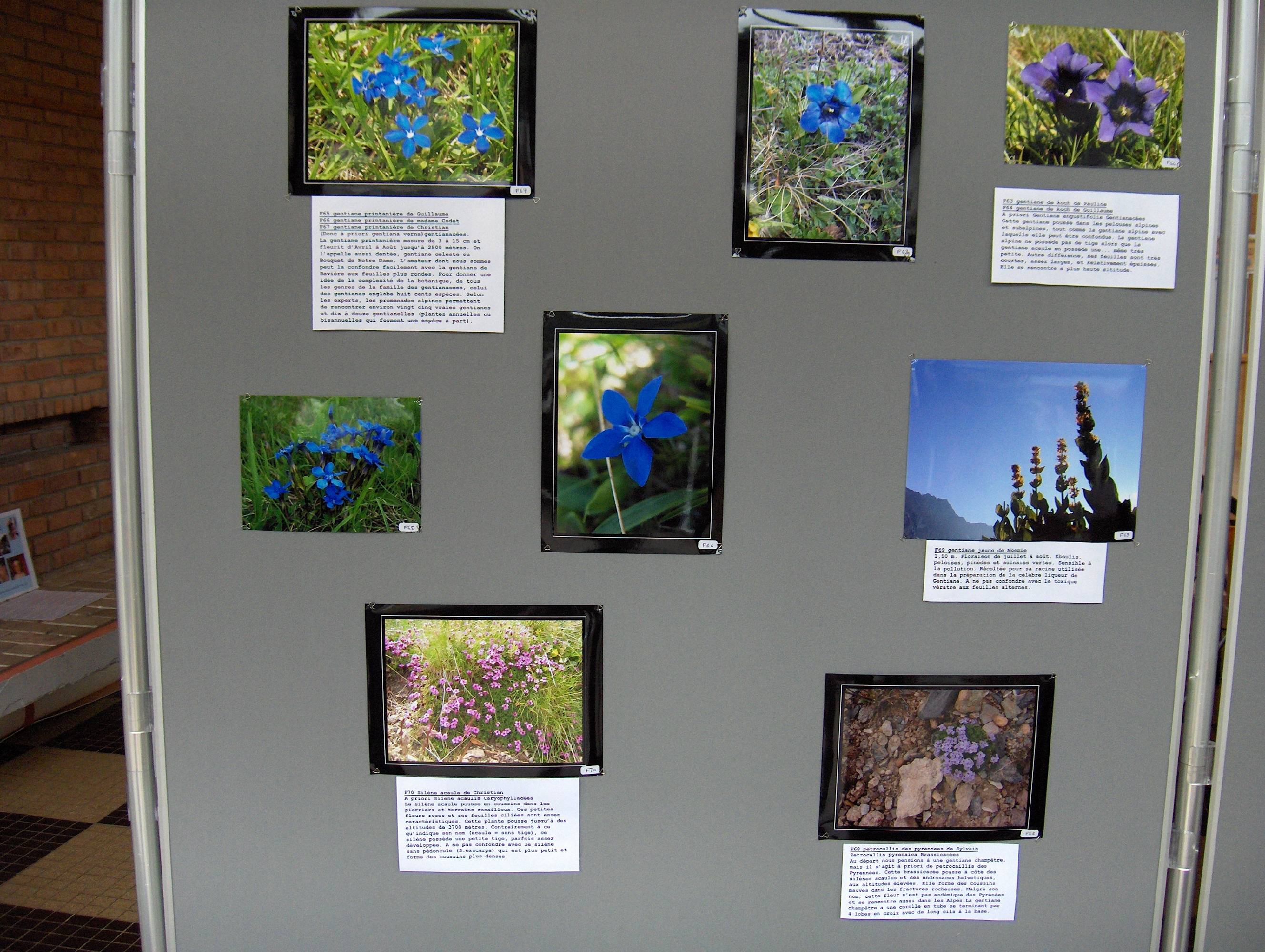 expo photo 2006 D.jpg