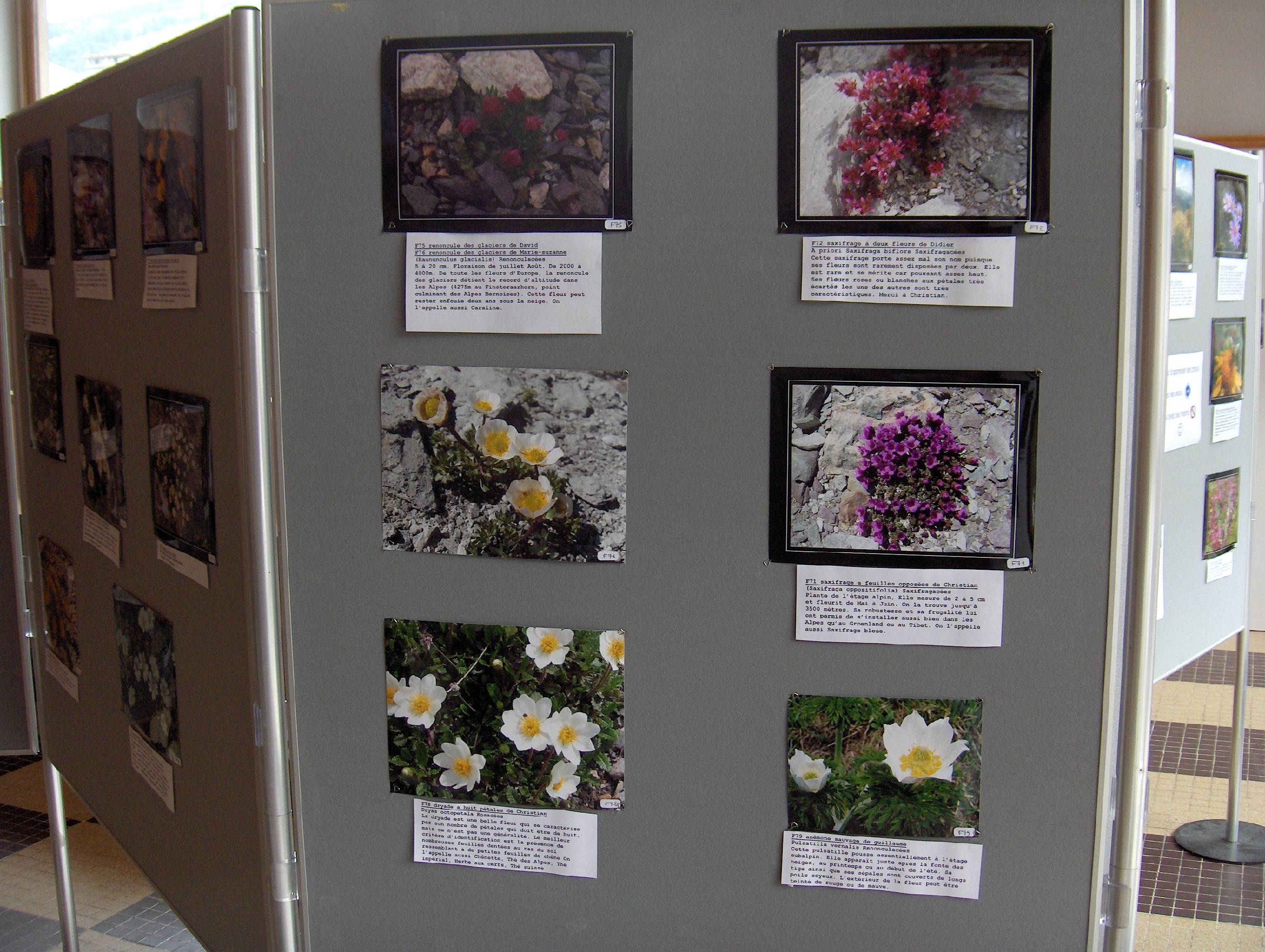expo photo 2006 E.jpg