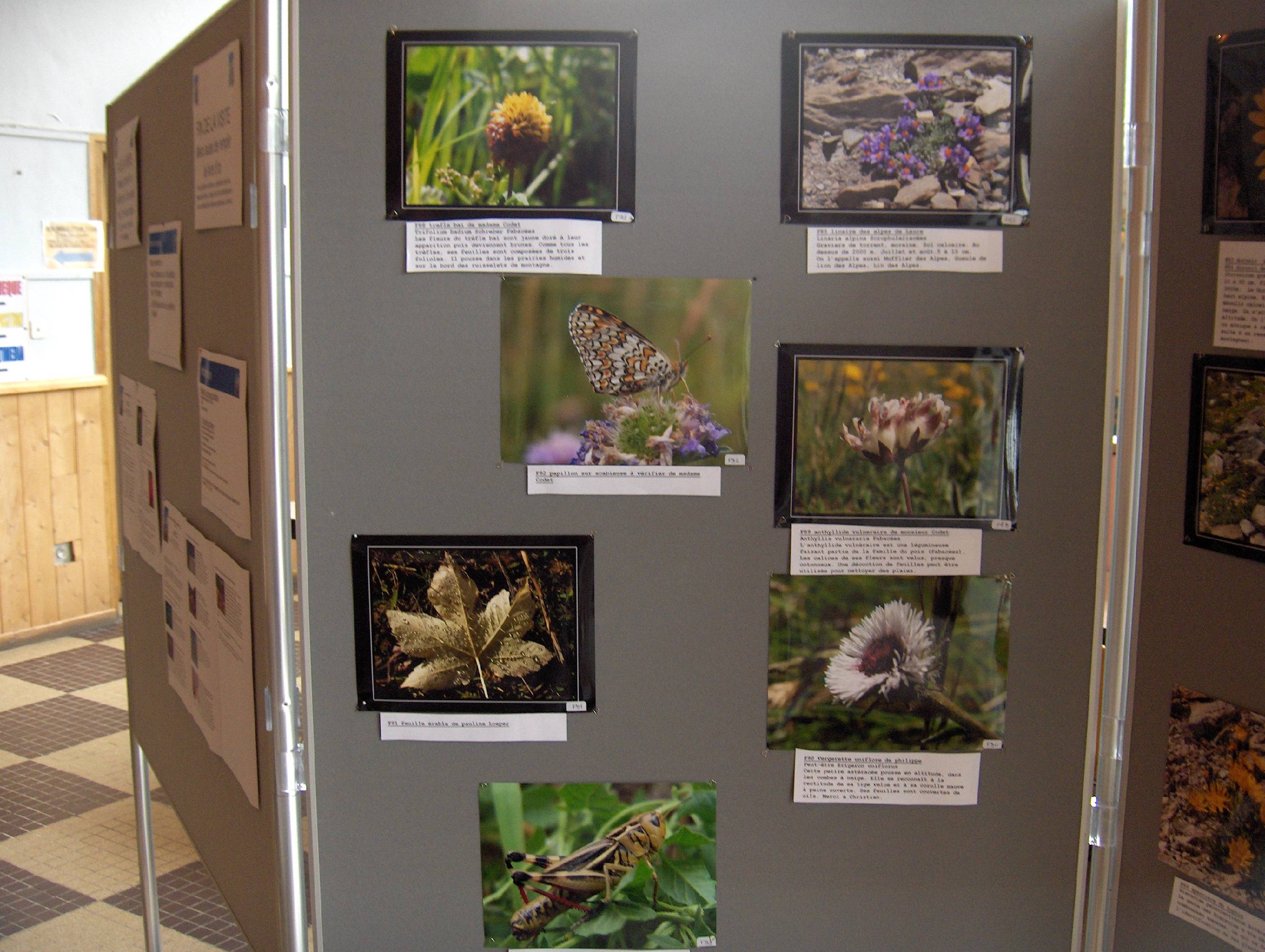 expo photo 2006 G.jpg
