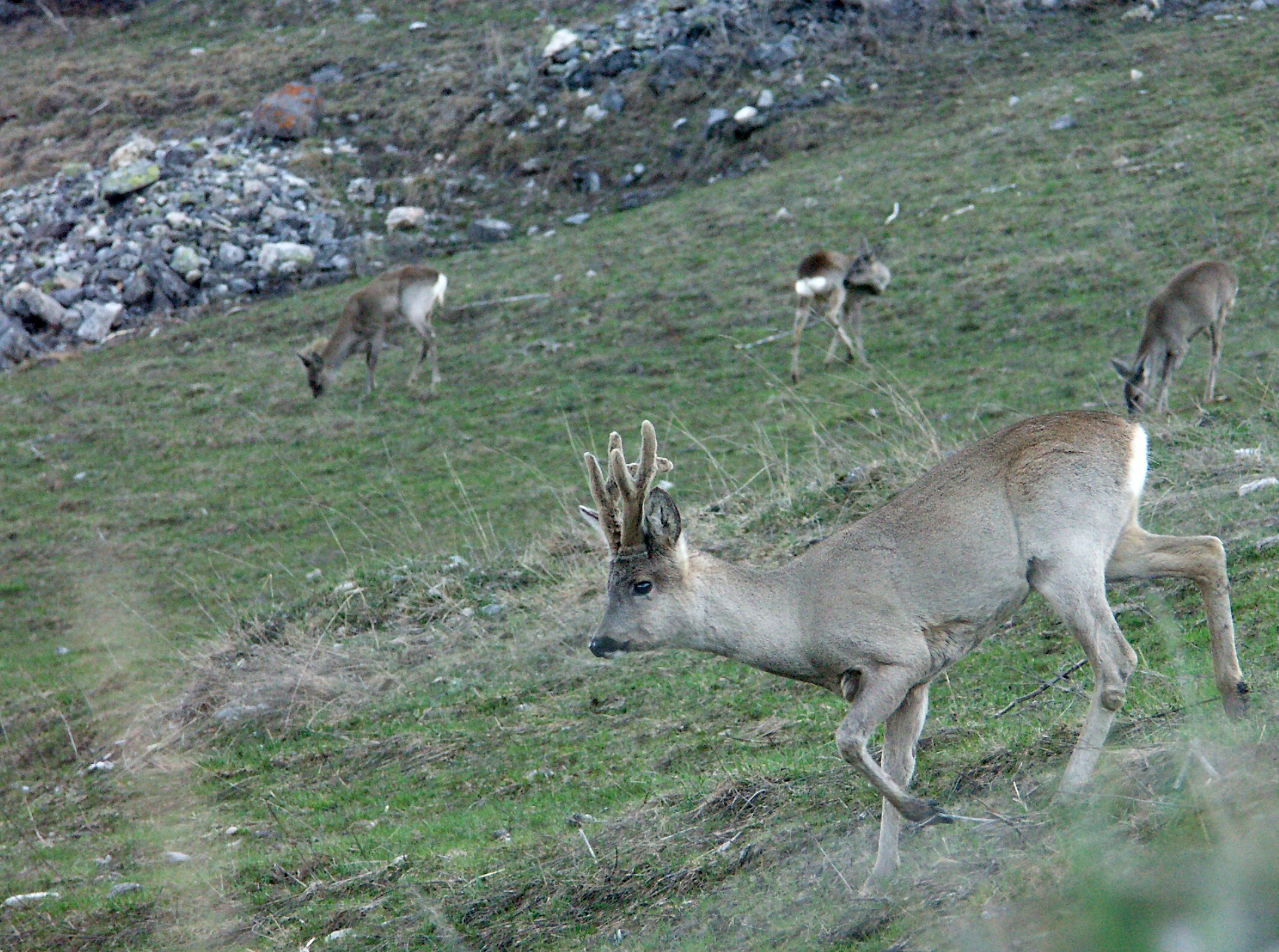 A05-brocard-de-isabelle-battentier.jpg