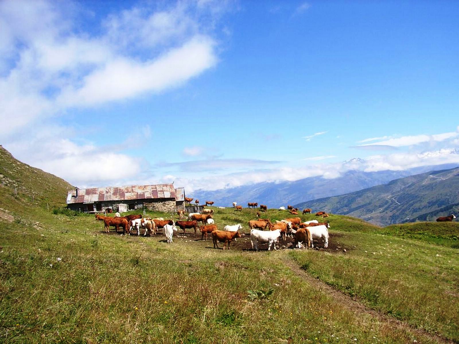 M09-Chalet-du-Vallon-format1520-de-gisele-duvernetpret.JPG