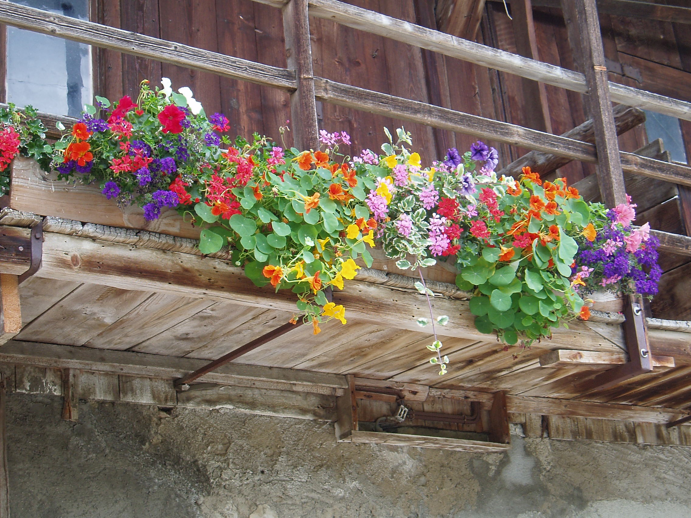 M10-Balcon-fleuri-village-Albanette-de-gerard-gourlan.jpg