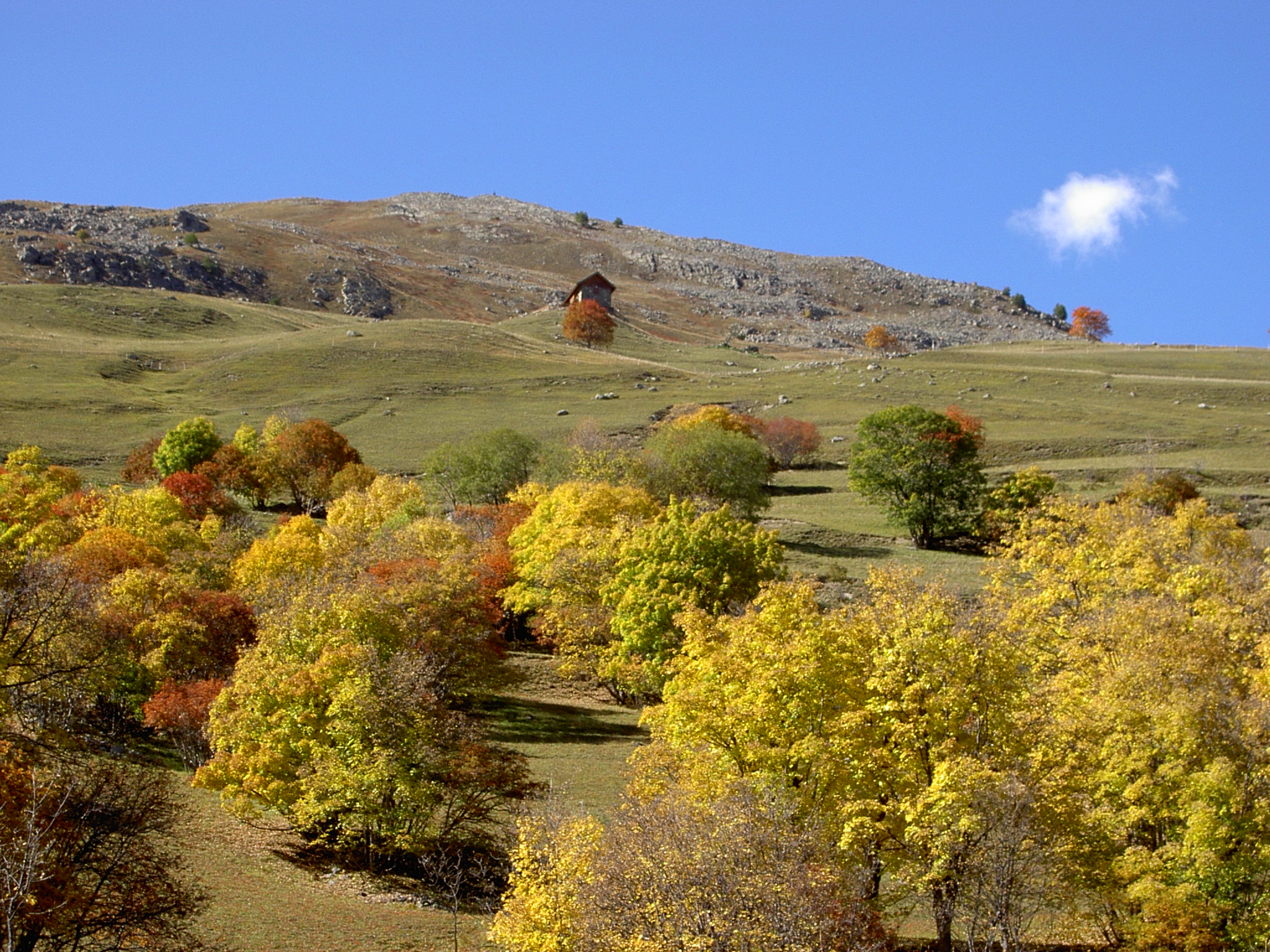 M31-Vue-sur-le-chalet-des-balais-l-automne-de-regis-de-poortere.JPG