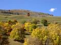 M31-Vue-sur-le-chalet-des-balais-l-automne-de-regis-de-poortere