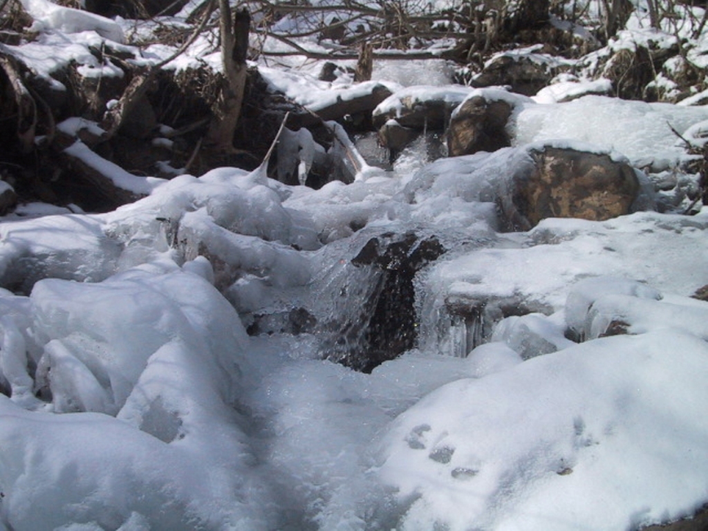 TE07-le torrent-des-villards-pris-par-les-glaces-de-dominique-stiker.jpg