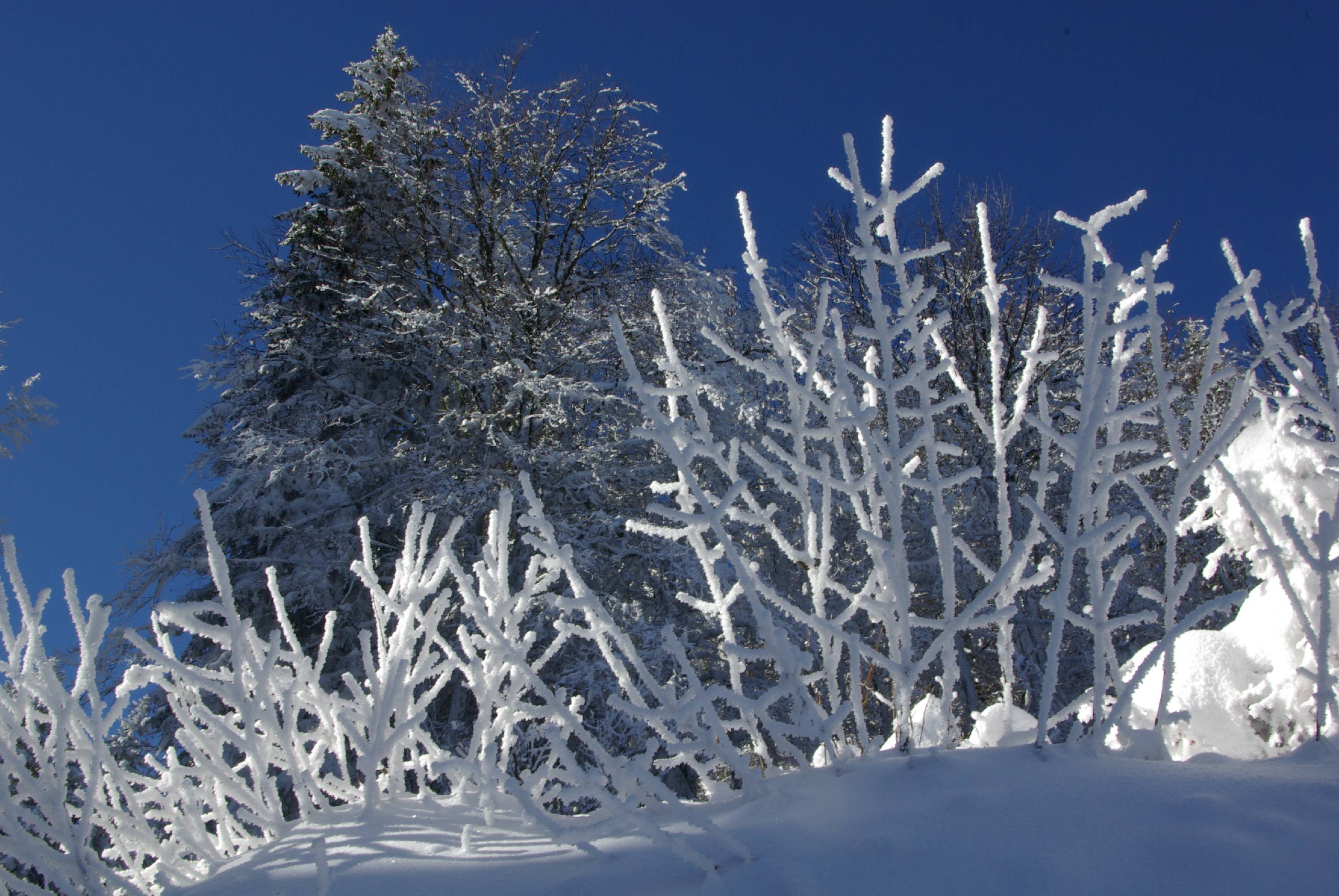 TE15-apres-la-tempete-de-benedicte-emelien.JPG