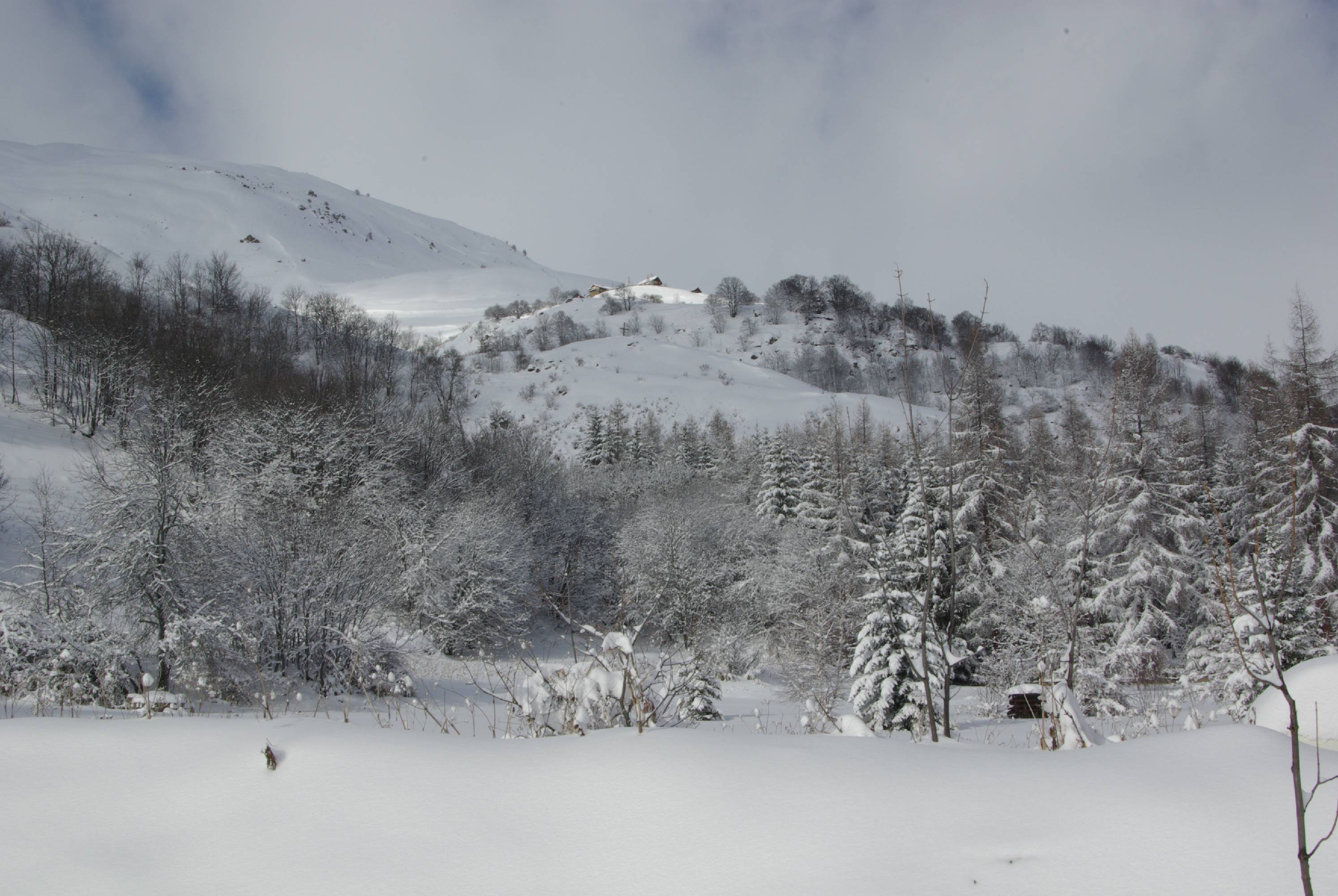 TE17-Apres-la-neige-de-joseph-de-poortere.JPG