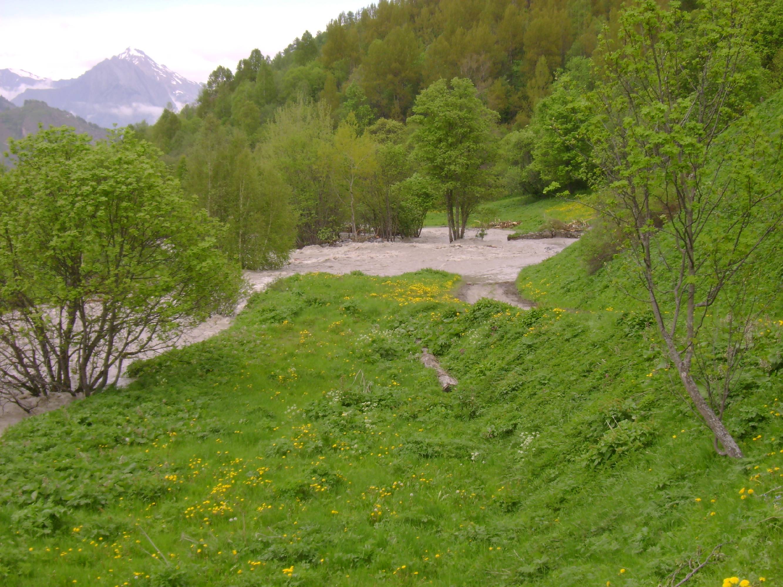 TE65-Valloirette impressionnante-de-martine-falcoz.JPG