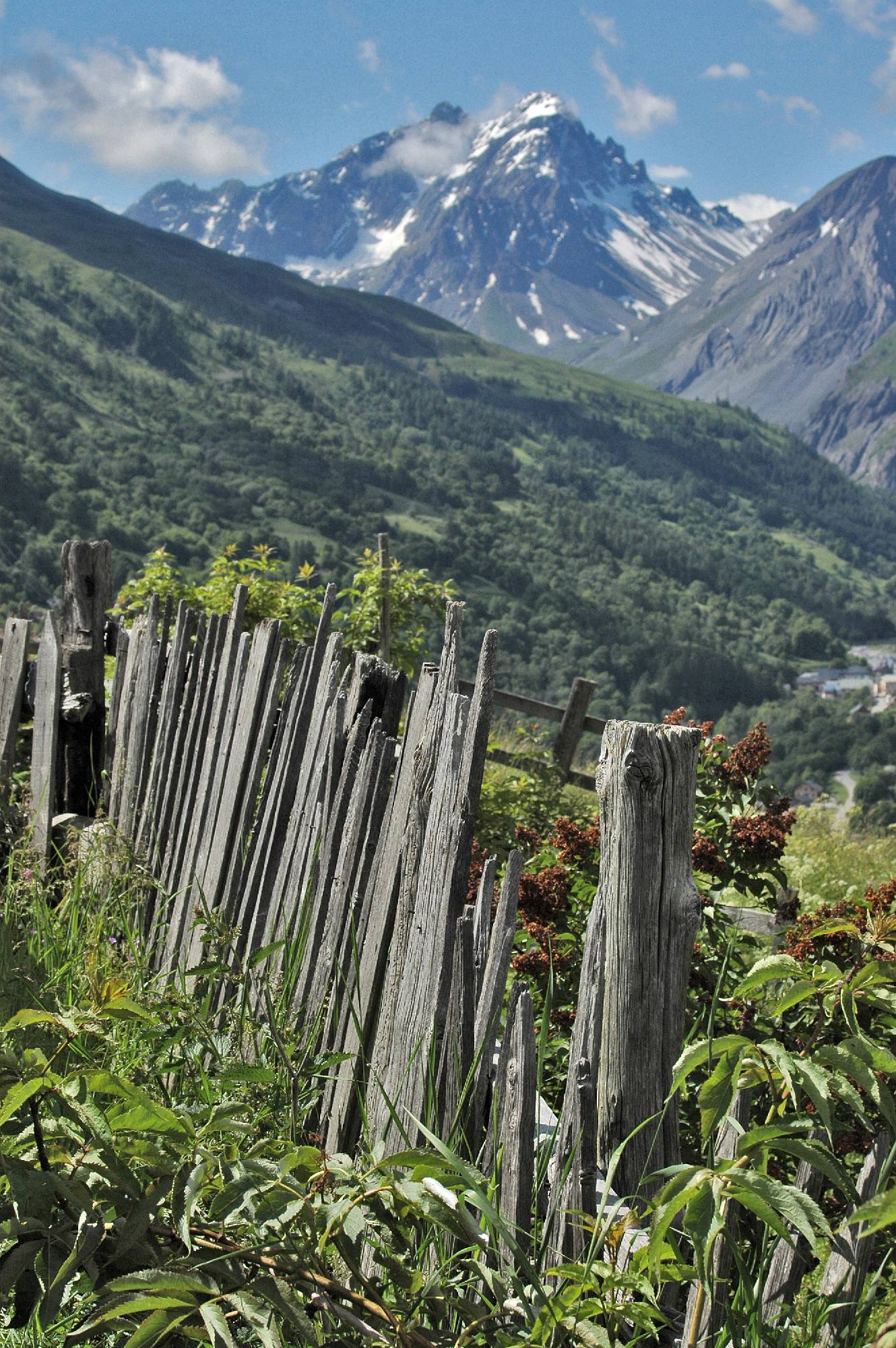 B29-Palissade-a-Poingt Ravier-de-Christian-Merentier.JPG