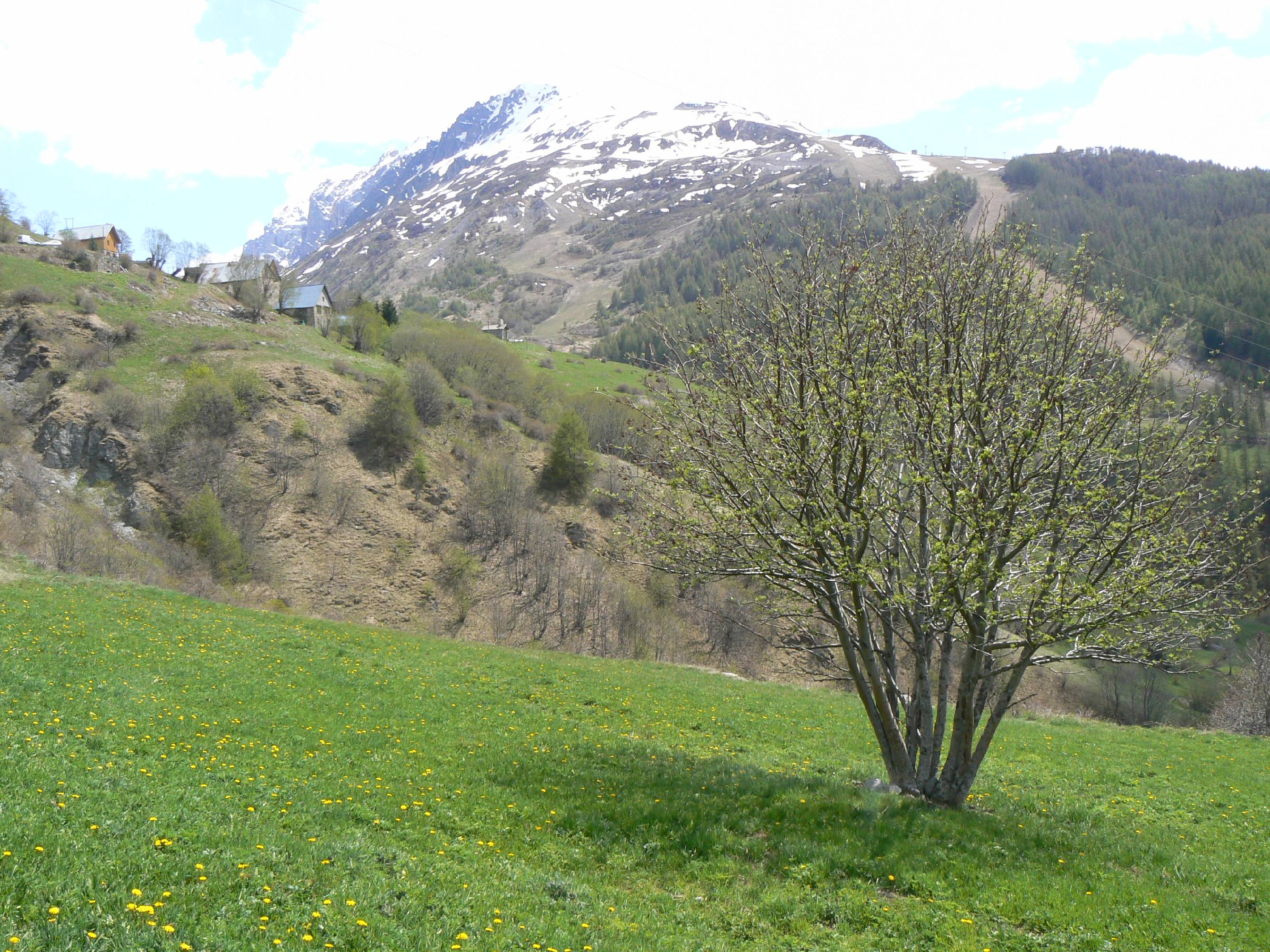 4S11-pres-poingt-Rogereuil-Printemps-de-helene-michaud.JPG