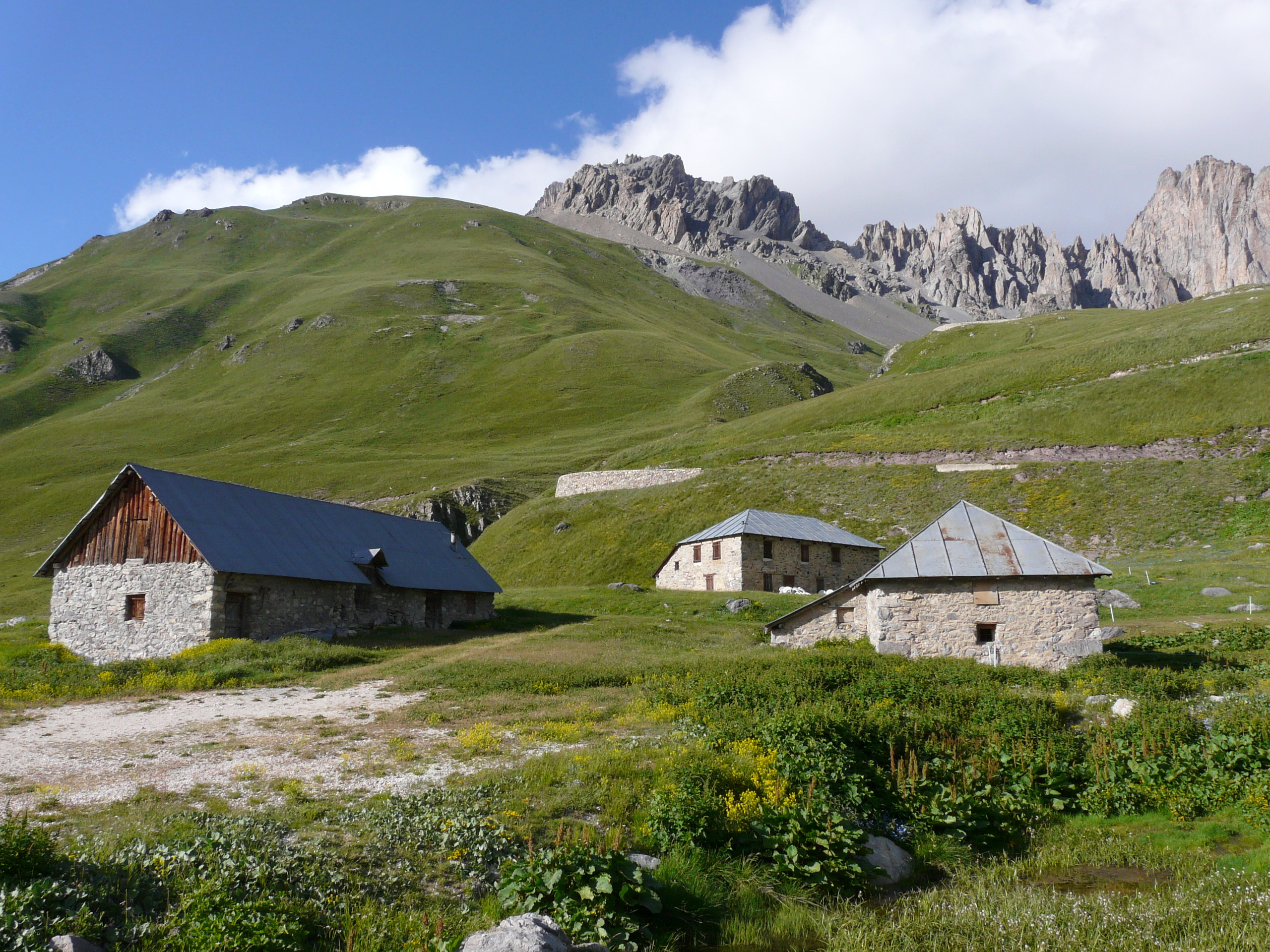 4S17-les-Mottets printemps-de-Marie-Helene-Brivet.jpg