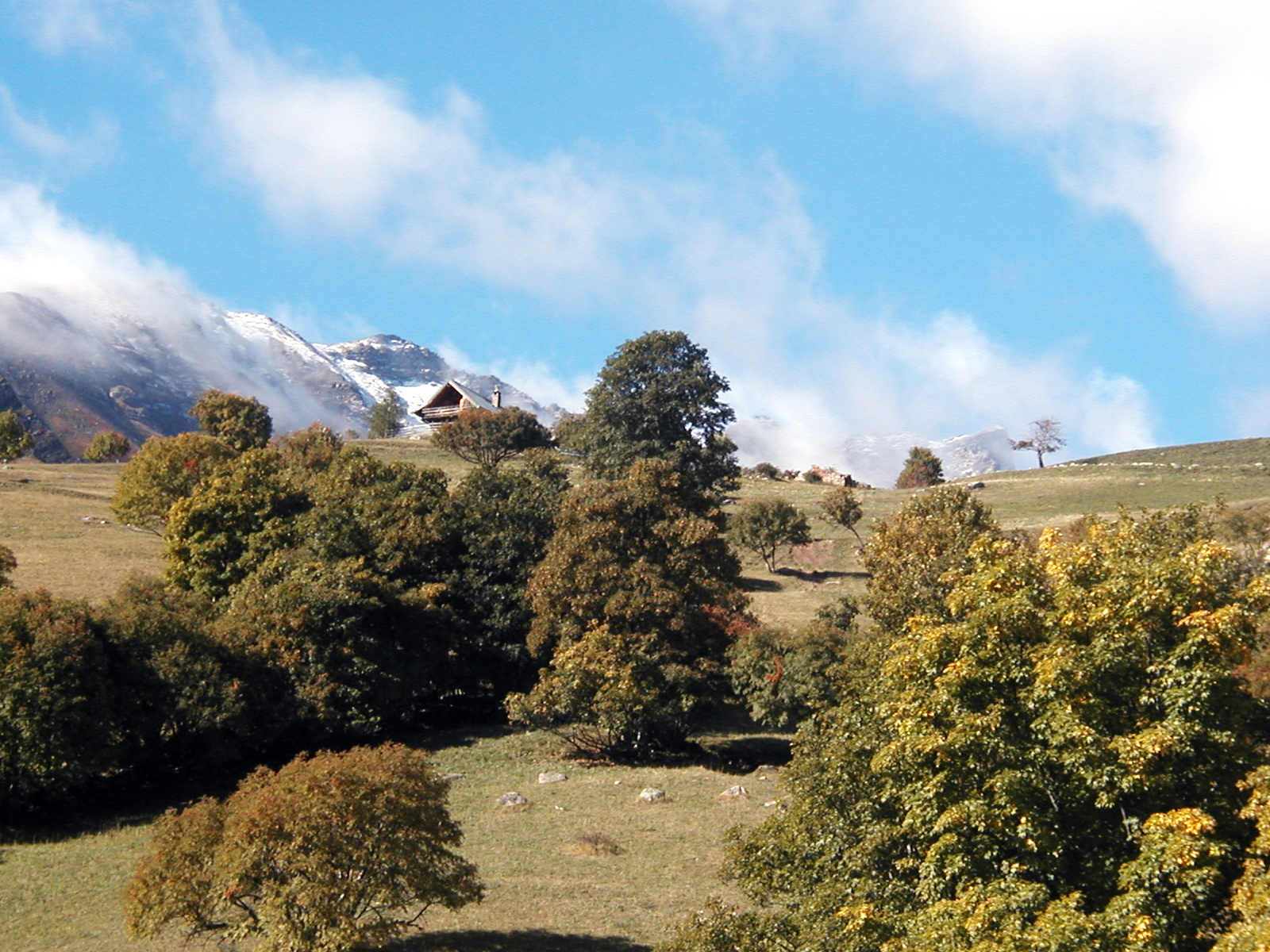 4S30-Beaujournal-Automne-de-Regis-de-Poortere.jpg