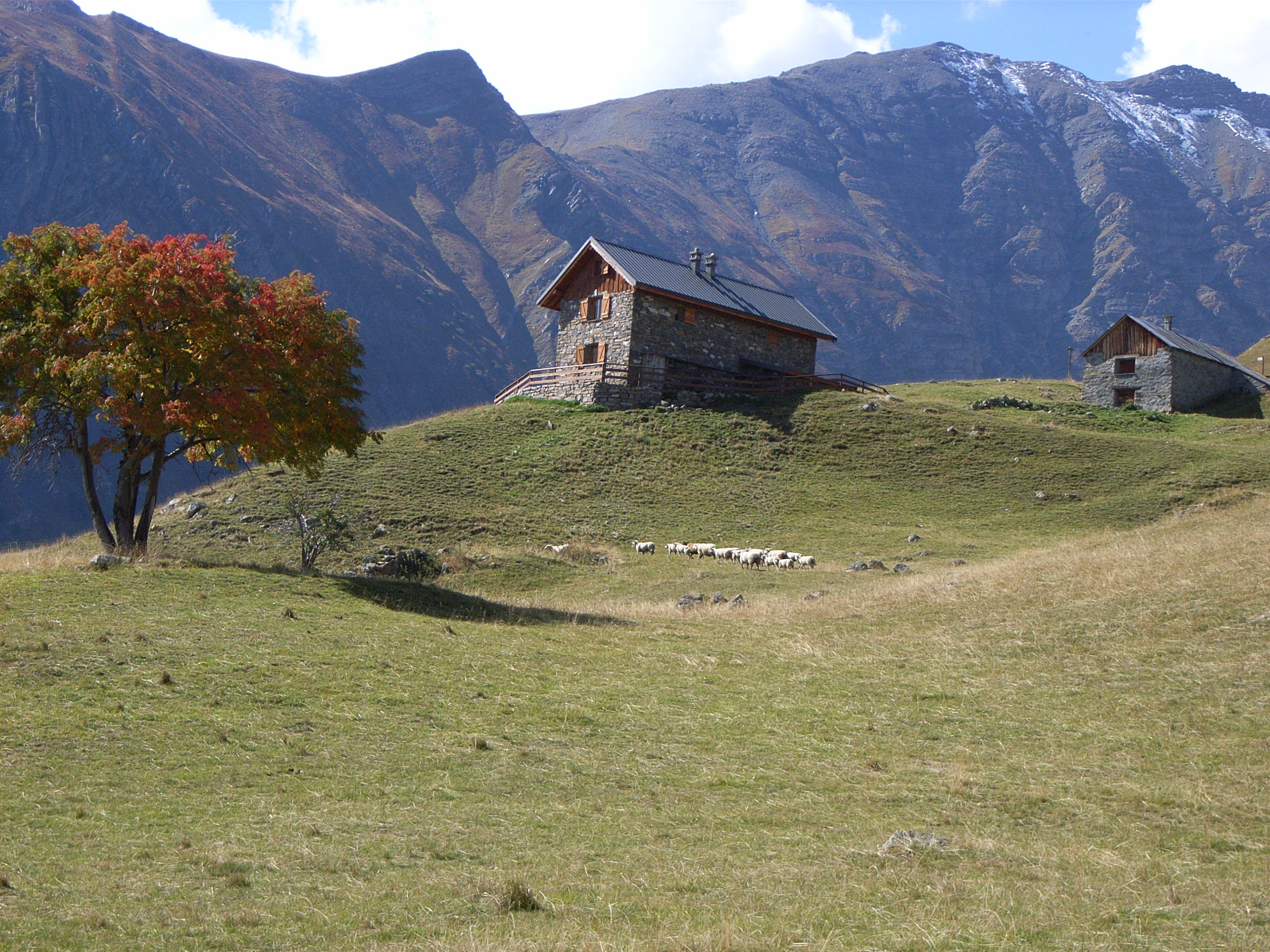 CH14-Les-Balais-de-Gisele-Duverney-Pret.JPG