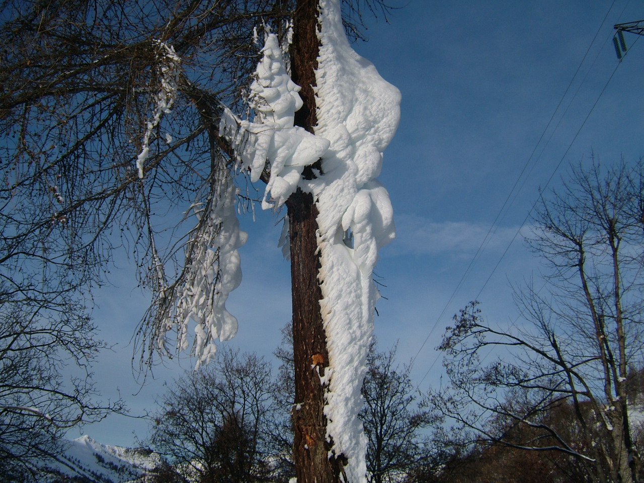 VI02-apres-la-tempete-de-Daniel-Ervyn.JPG