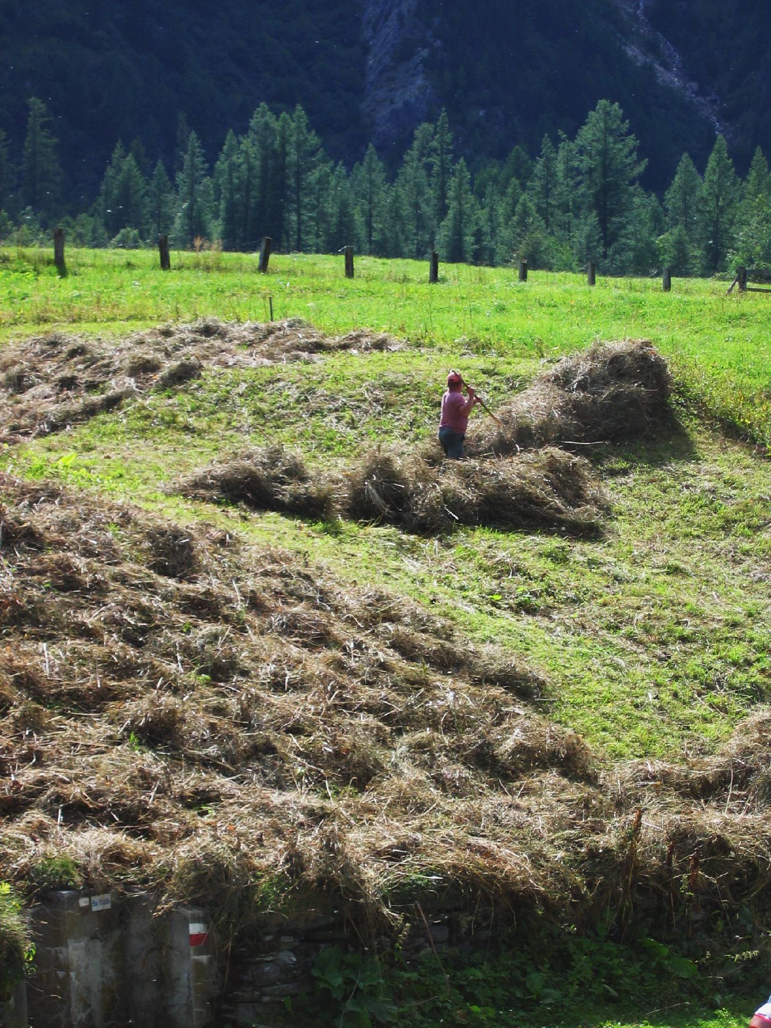 HM18-Agriculture-Fenaison-en-Savoie-de-Emmanuelle-Scarnato.JPG