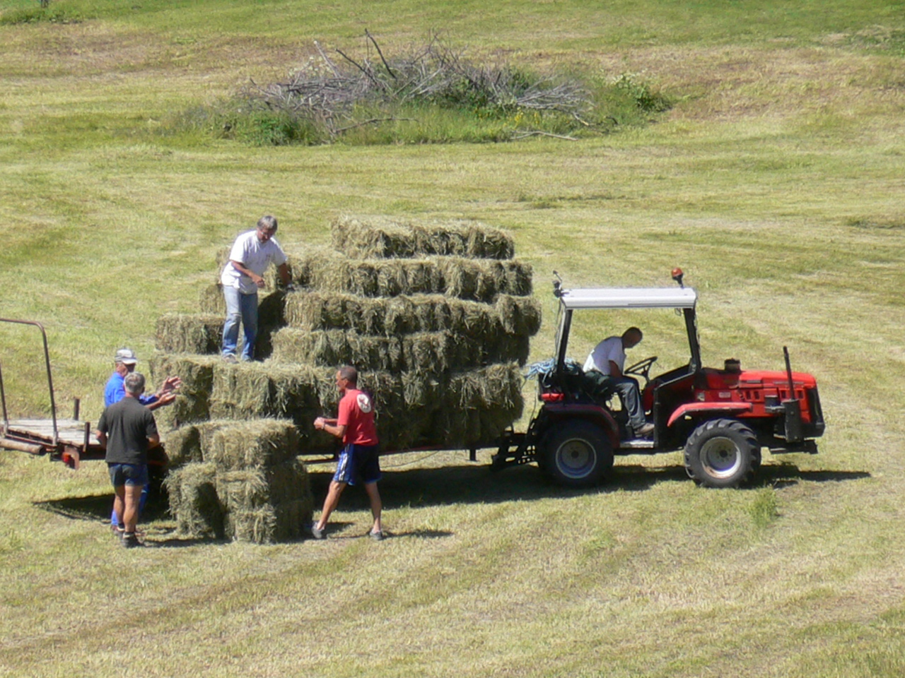 HM19-Agriculture-fenaison-aux-Verneys2-de-Martine-Gautier-Valentin.jpg