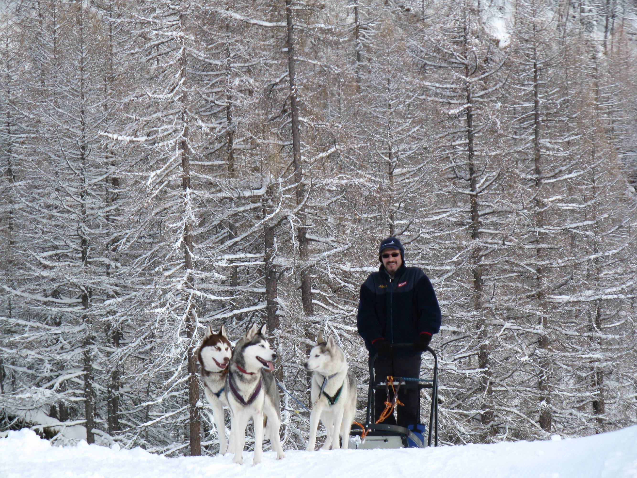 HM38-Sport-Hiver-Attelage-chien-traineau-de-r-de-portere.JPG