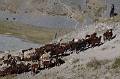 HM12-Agriculture-il-etait-une bergere-valloire-de-Yves-Floret