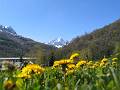 AM09-GR4-galibier-printemps-de-Gerard-Garino