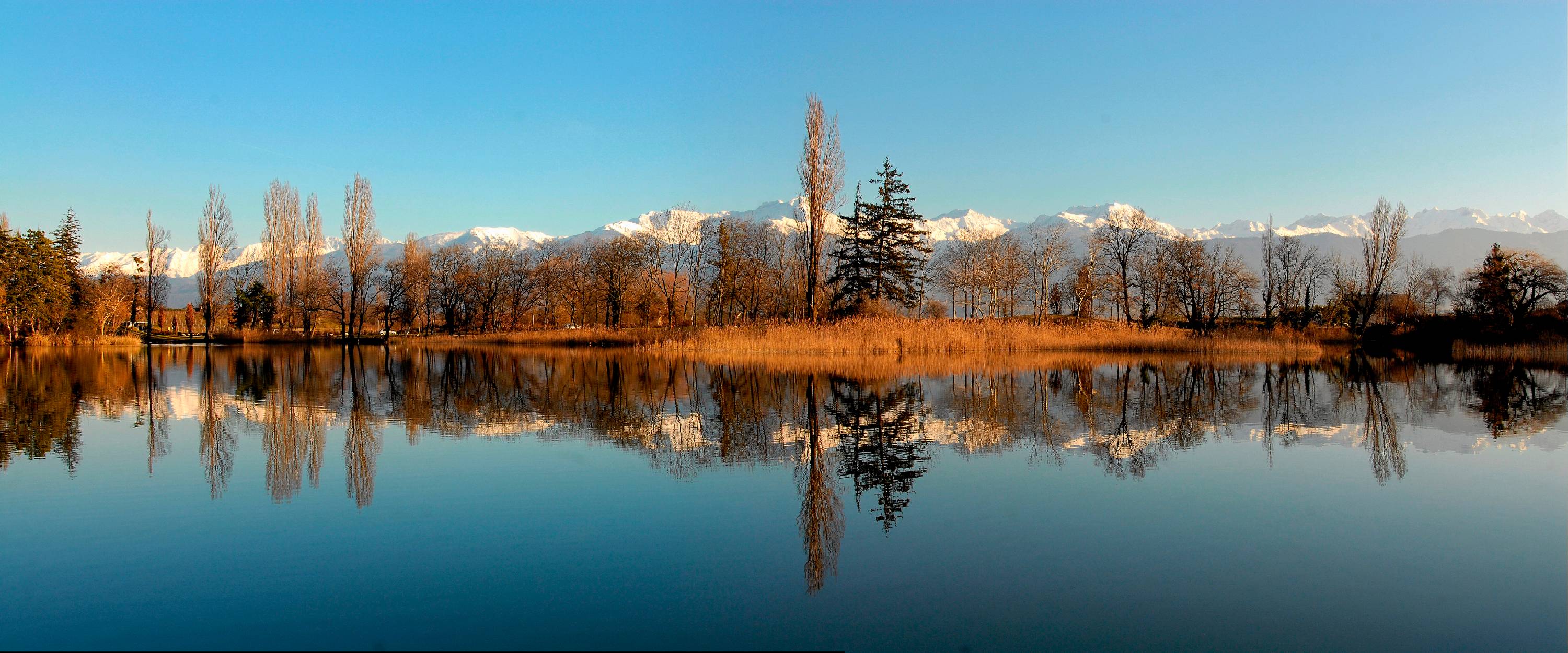 RF42-Lac-St-Andre-Gresivaudan-Bernard-Gaudet-Traffy.JPG