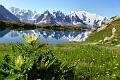 RF39-Lac-des-Cheserys-Mont-blanc-ete-de-michel-jacquet