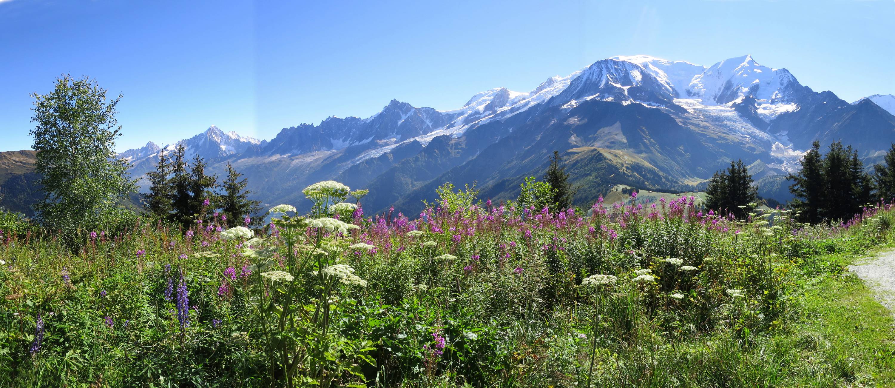 PN12-Panorama-prarion-les-houches-de-Michel-Jacquet.jpg