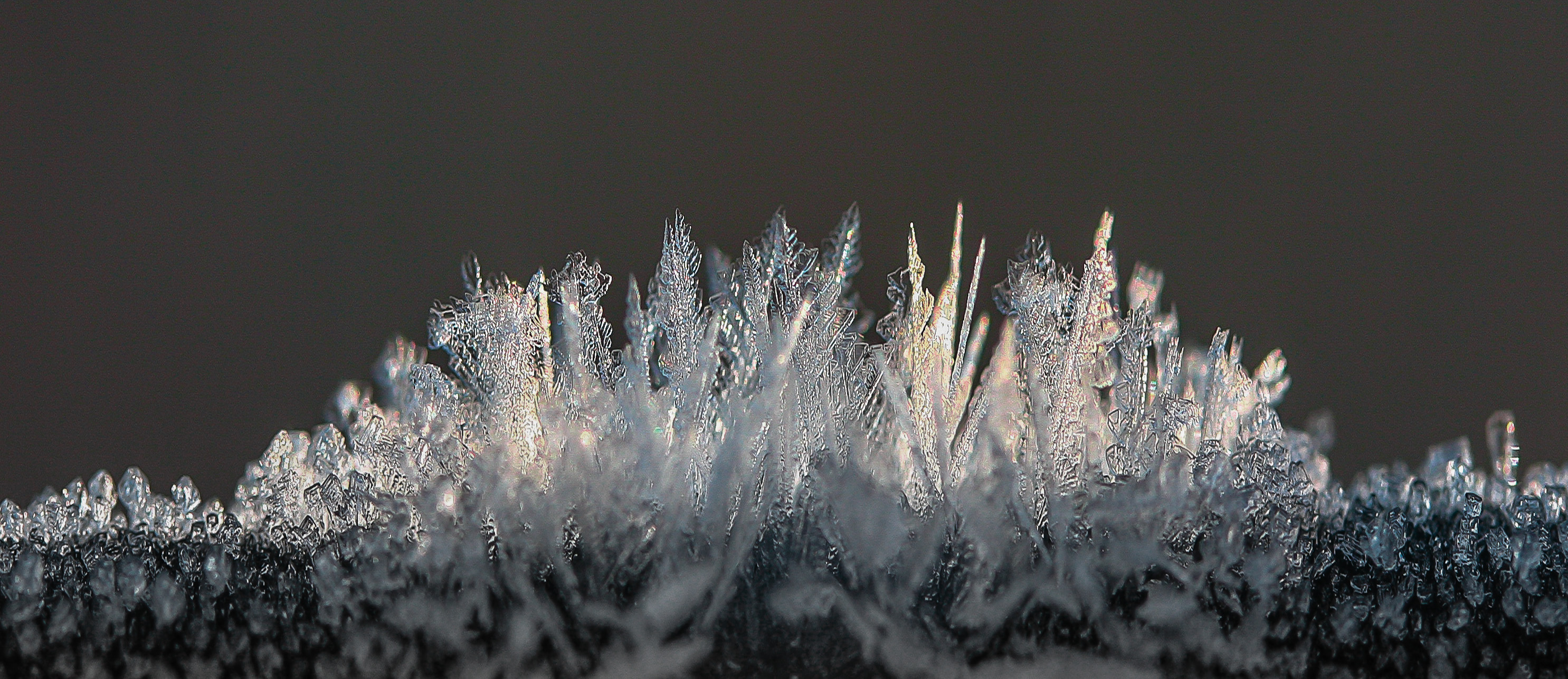 PN14-cristaux-de-glace-de-Jean-Claude-Suhr.jpg