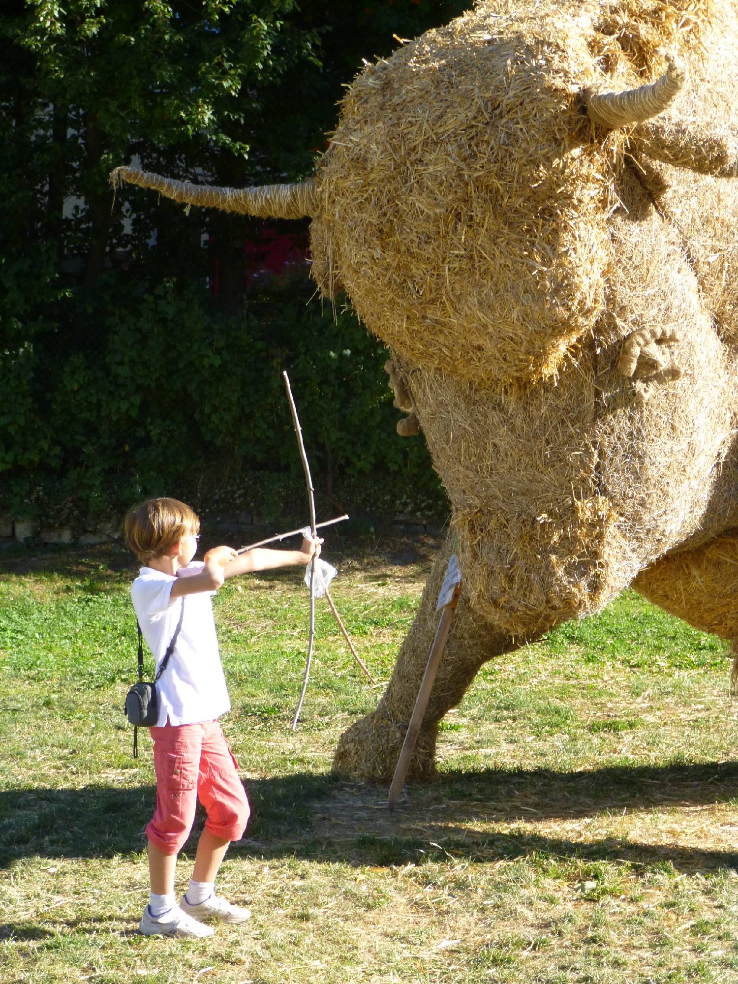 ORIG09-au-temps-des-Aurochs-a-Valloire-de-Hubert-Dodat.JPG