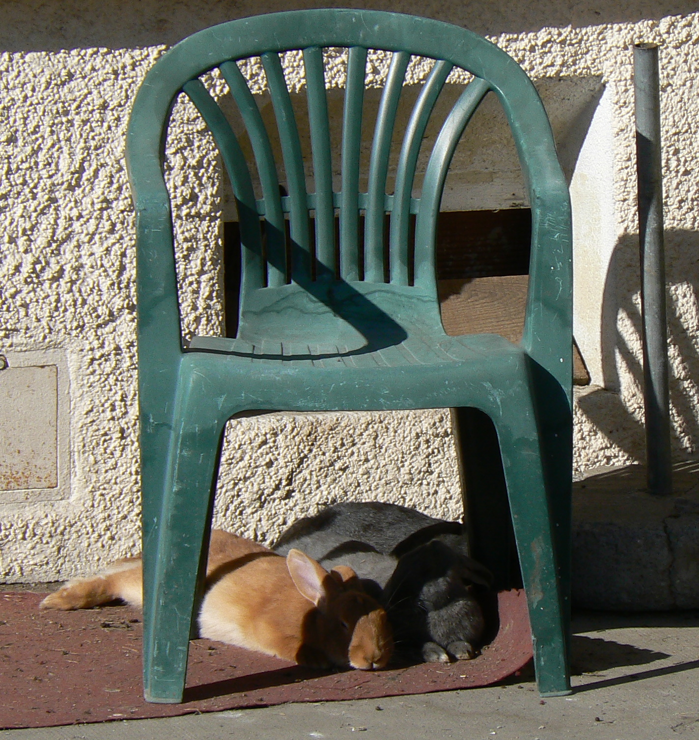 ORIG11-Sieste-a-la-ferme-de-Jean-Chapgier.JPG